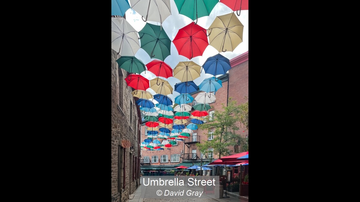 Umbrella Street